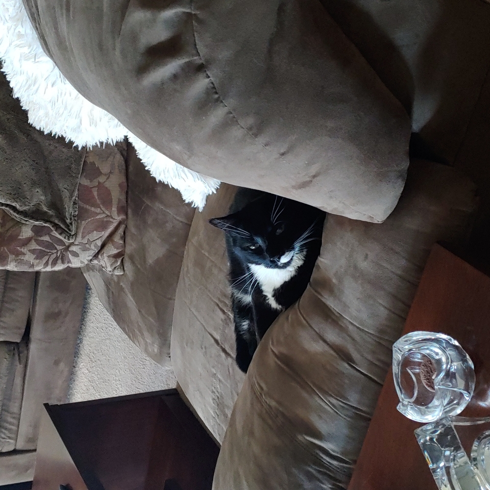 Jonah says, "Make us offers!! Seriously."